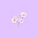 littleplantposts avatar