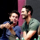 littleredsterek avatar