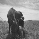 littlesadpenguin avatar