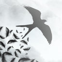 littlesingingswallow avatar