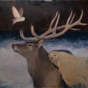 littlestarlucia avatar