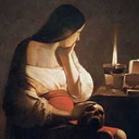 littlestickfish avatar