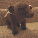 littletapirjeffy avatar