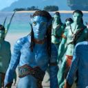 littlethingsinlife avatar