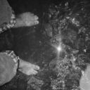 littletoearchive avatar