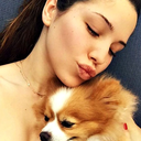 littlewarrior-girl avatar