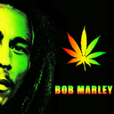 live-like-marley420 avatar