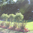 livelovelaugh82 avatar