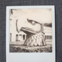 liverbird3photo-blog avatar