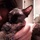 living-afairytale avatar