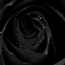 living-within-shadows avatar