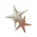 livlaughloveluke avatar