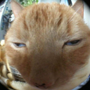 lizardfromspace avatar