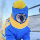 lizardqueen10 avatar