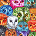 loadedinowls avatar