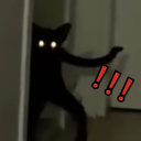 loafshadowmoon avatar