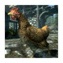 localskyrimchicken avatar