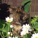 lochnessmister avatar