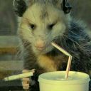 lockpickpornography avatar