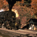 locomotive-idiot avatar