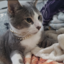 logictoinsanity avatar