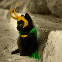 loki-and-the-pussycats avatar