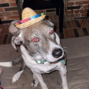 lokigodofsasss avatar