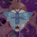 lokiloluniverse avatar