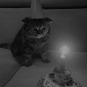 lonelinessandheart avatar