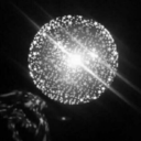 lonely-nightingale avatar