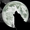 lonelywolfhowls avatar