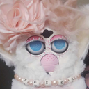 long-furby-festival avatar