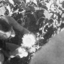 look-theotherside avatar