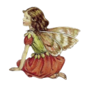 lookingforfairies avatar