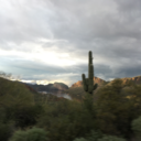 lookingforliz avatar