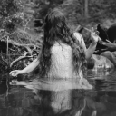 loonamoonland avatar