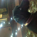 lorazepamhalen avatar