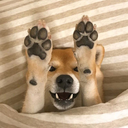 lorddeathmanart avatar