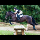 lordofthereins avatar