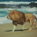 lordofthewholewood avatar