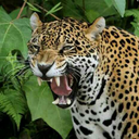 lorenzo-6-blog avatar