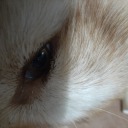 loserandloser avatar