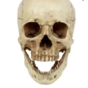 lost-in-a-sea-of-thoughts avatar