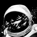 lost-in-mydreams avatar