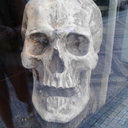 lost-in-the-memorys avatar