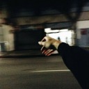 lost-in-the-stars-and-the-moon avatar