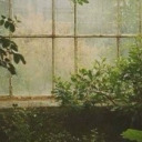 lost-in-the-system avatar