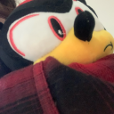 lost-savefile avatar