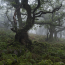 lostandoverwhelmed avatar