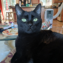 lostintheforest9 avatar